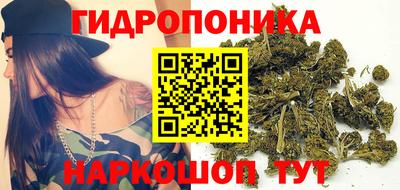 индика Пугачёв