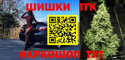 индика Пугачёв