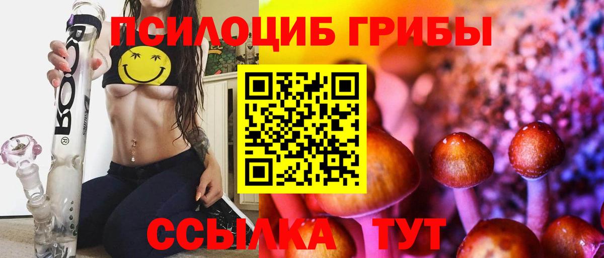 Псилоцибиновые грибы GOLDEN TEACHER  Вход с VPN  Псилоцибиновые грибы мухоморы  Протвино 